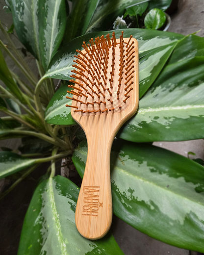 Mane Magic ︱ Natural Bamboo Wood ︱ Hair Brush